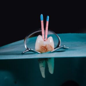 ozkan-guner–Sq9Mui_Mto-unsplash